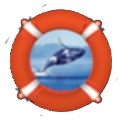Blue Whale Maritime / BWM Official Logo